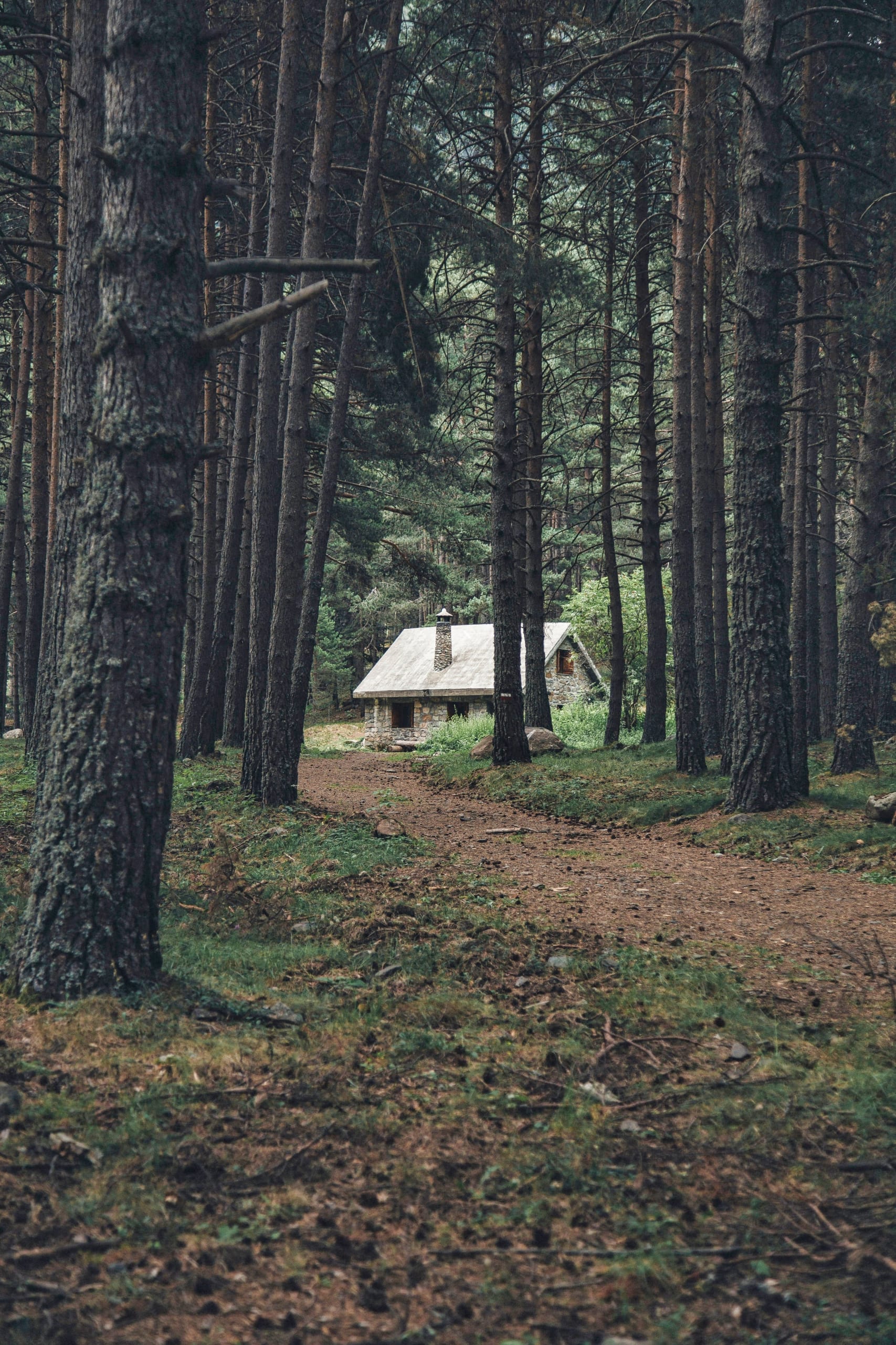 Techno-Tele-Path-Kinetic.hro